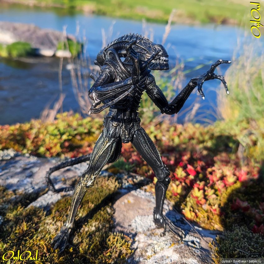 ˂71˃ Заповедник ксеноморфов