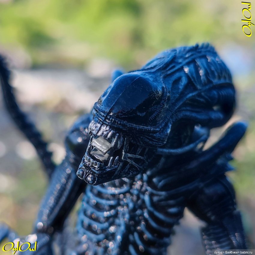 ˂71˃ Заповедник ксеноморфов