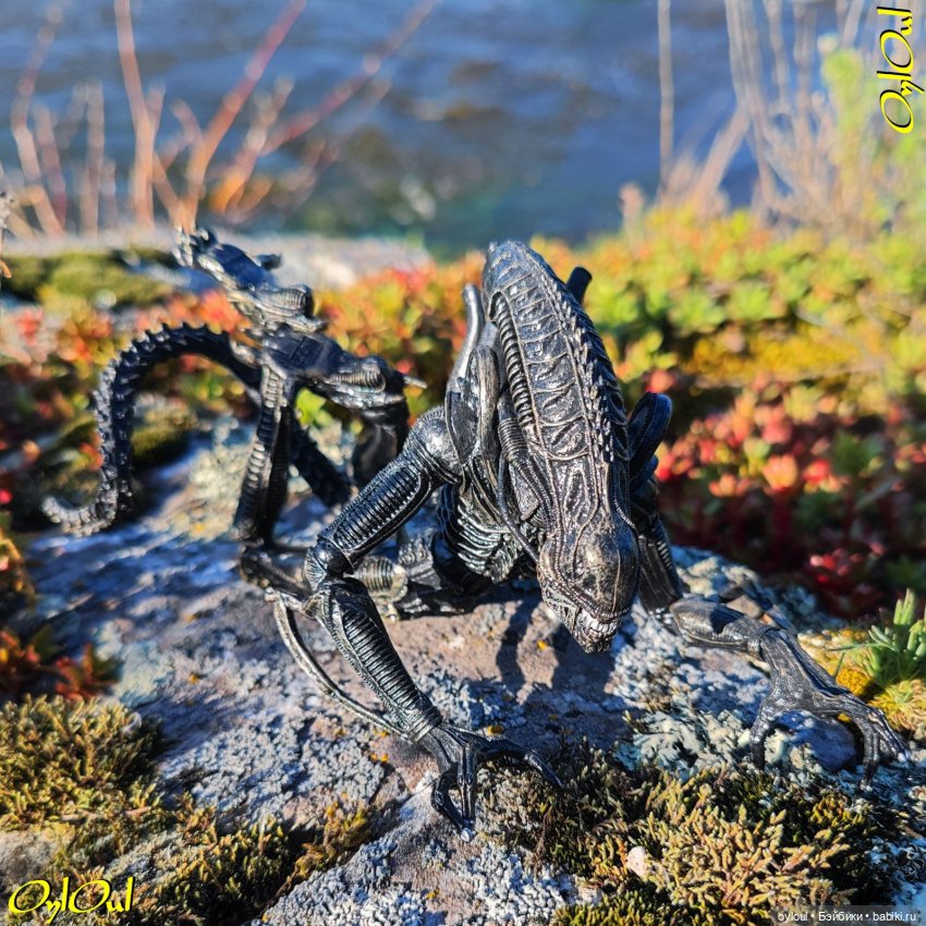 ˂71˃ Заповедник ксеноморфов