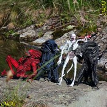 ˂71˃ Заповедник ксеноморфов