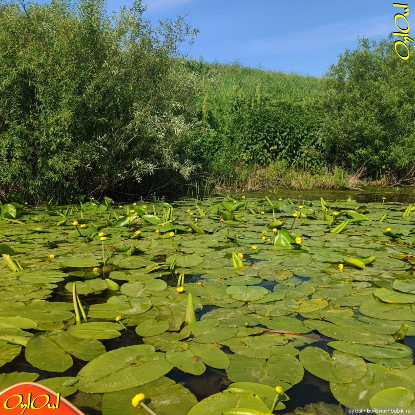 ˂73˃ Просто Увелка. Просто Бэтси (фото 3)