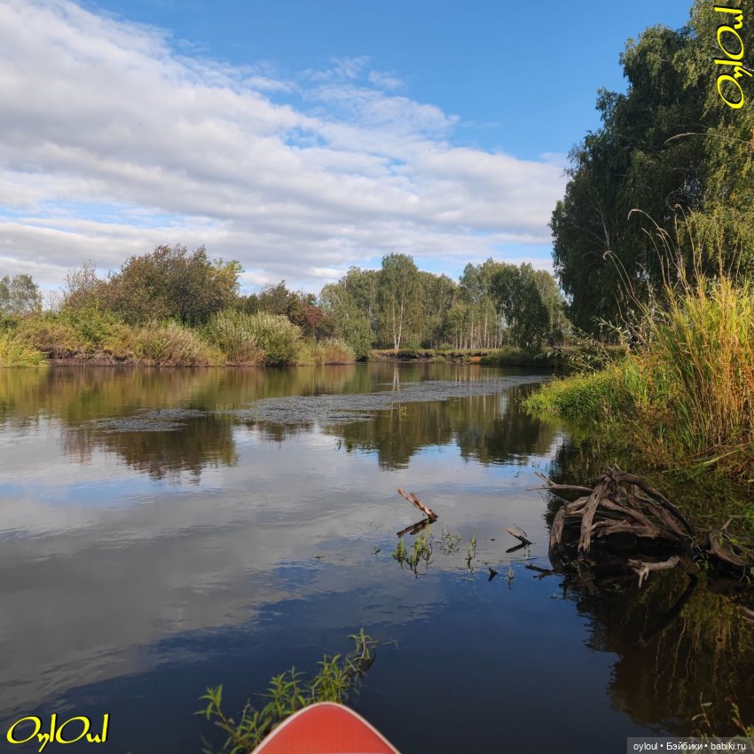 ˂74˃ Заполировали — Кукольные фотоистории и сериалы: комиксы (фото 8)