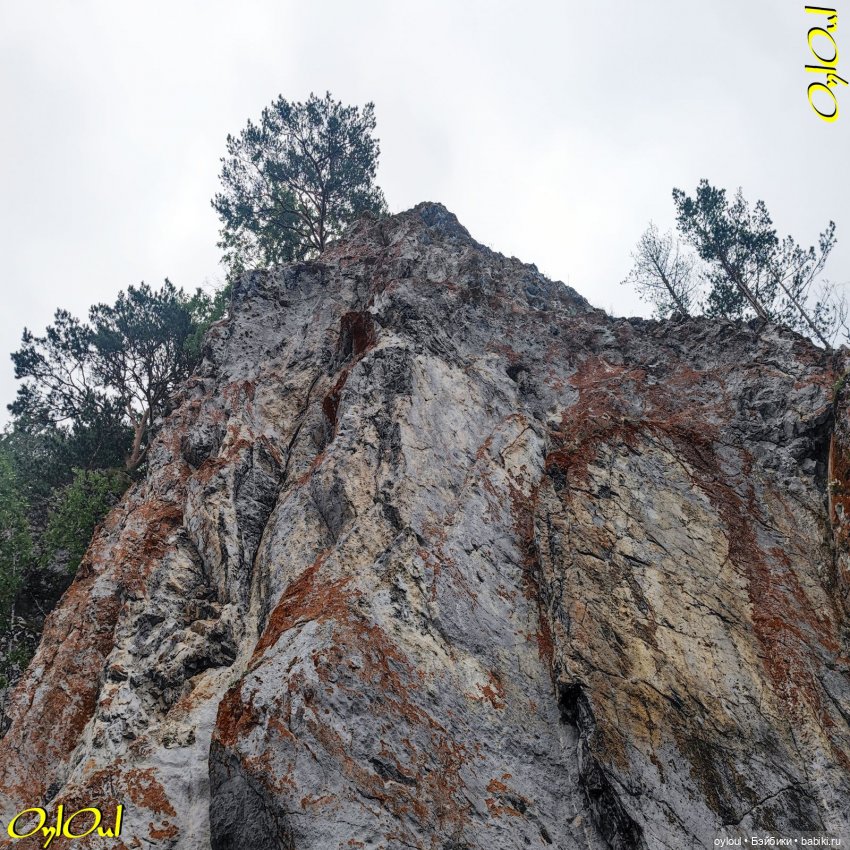 ˂79˃ Кото-плавание и кото-вибрации