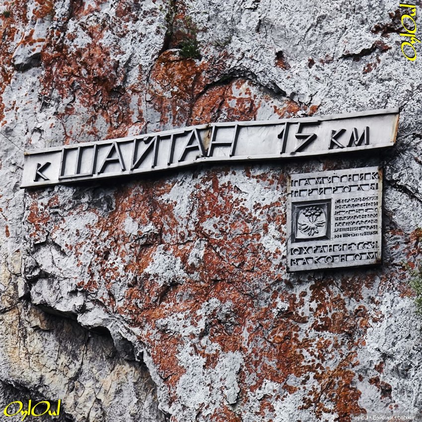 ˂79˃ Кото-плавание и кото-вибрации