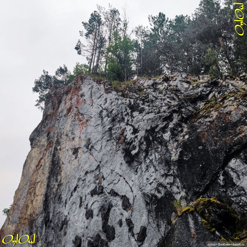 ˂79˃ Кото-плавание и кото-вибрации (фото 10)