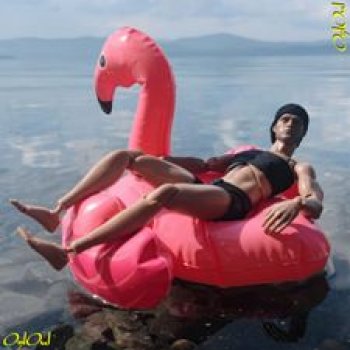 ˂80˃ Алеет розами фламинго