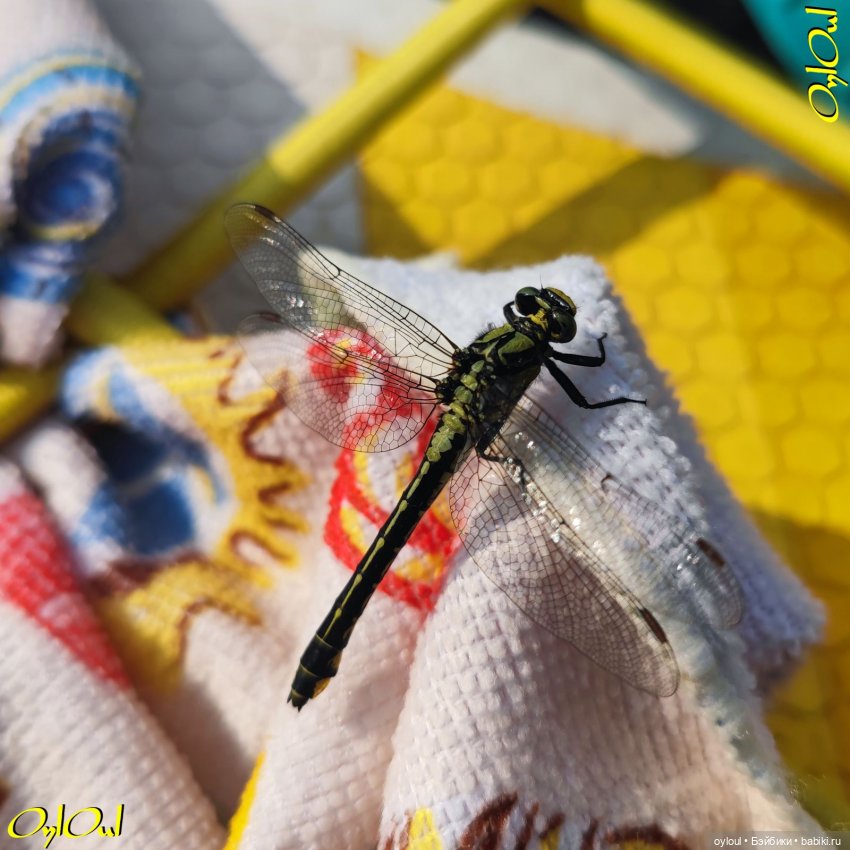 ˂82˃ До Трёки — Кукольные фотоистории и сериалы: комиксы