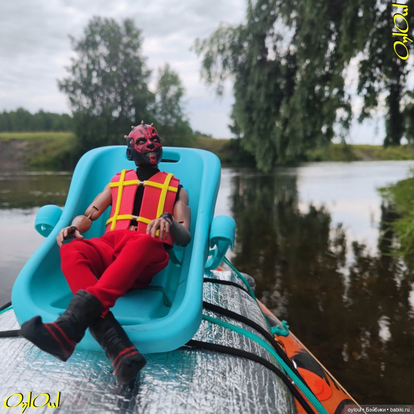 ˂83˃ Лебеди, почвы и листья