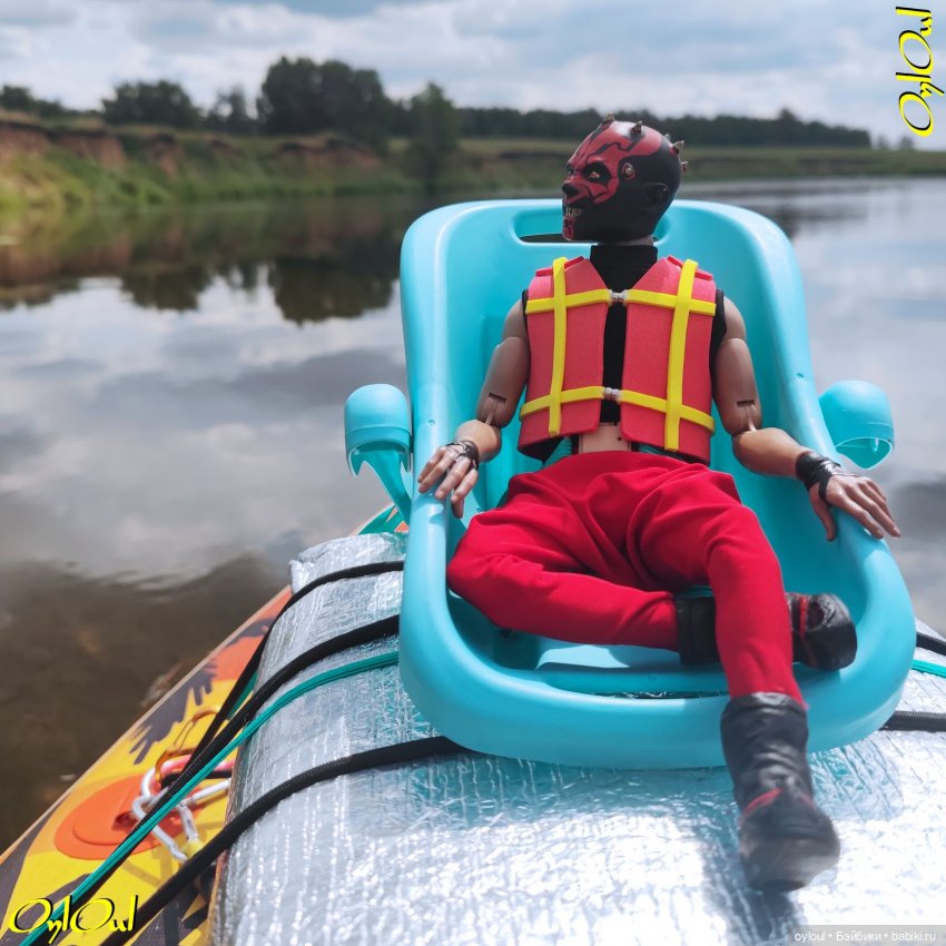 ˂83˃ Лебеди, почвы и листья (фото 4)