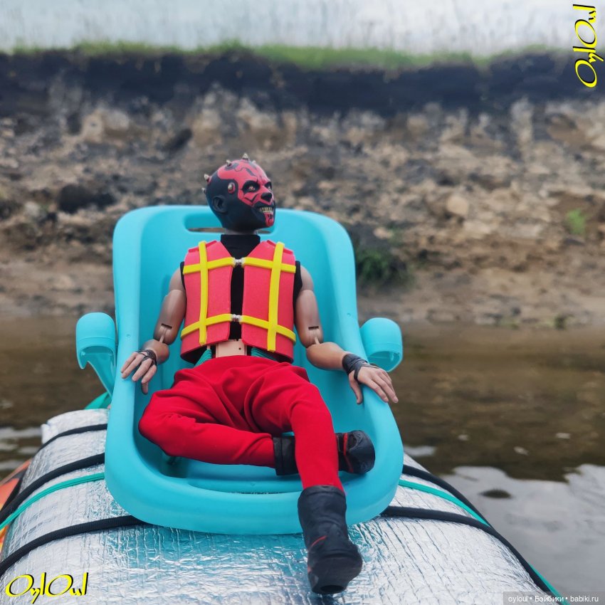 ˂83˃ Лебеди, почвы и листья (фото 10)