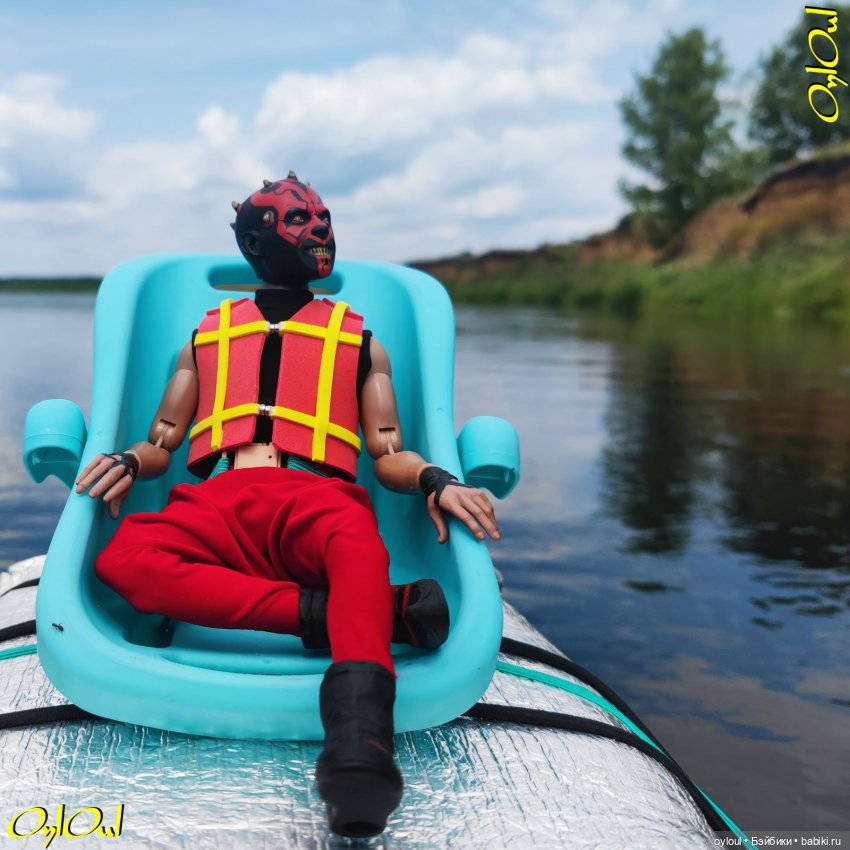 ˂83˃ Лебеди, почвы и листья (фото 9)