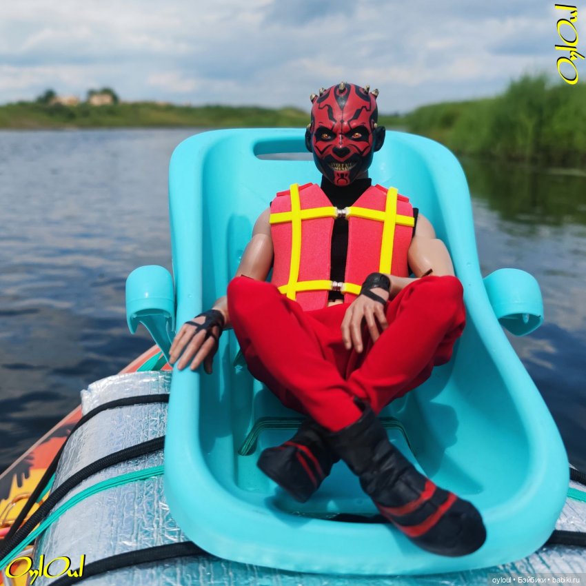 ˂83˃ Лебеди, почвы и листья