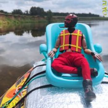 ˂83˃ Лебеди, почвы и листья