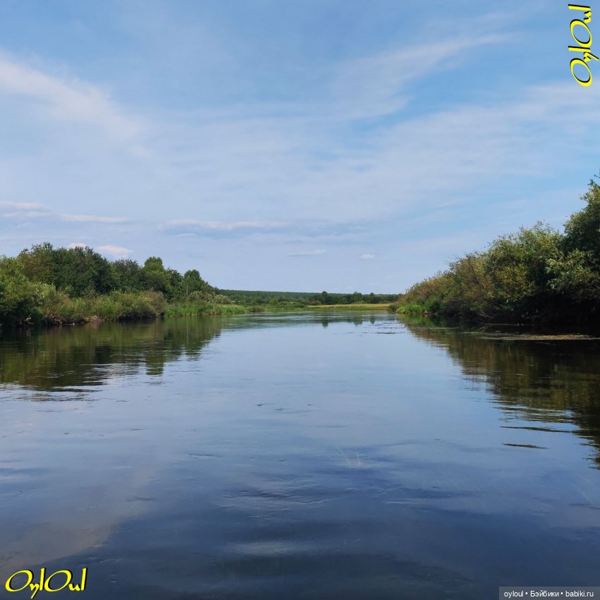 ˂84˃ Кувшинки! Продолжаем не рвать