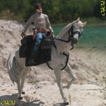 ˂90˃ Белая лошадка