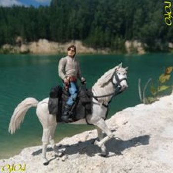 ˂91˃ Вокруг чуда!