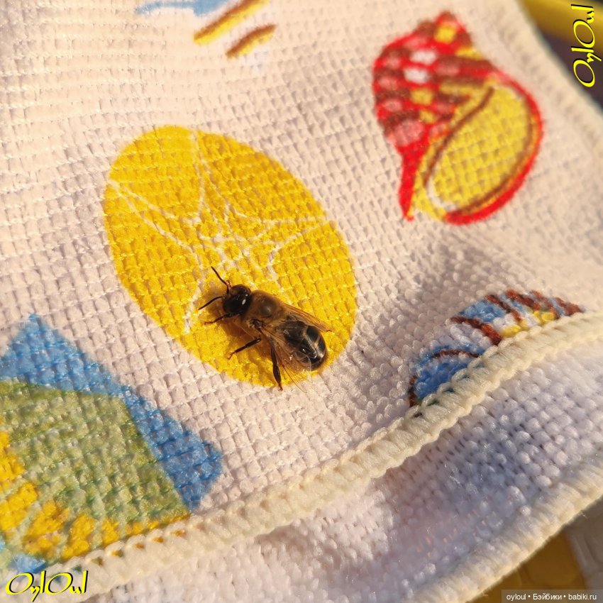 ˂92˃ Зелёная зима — Кукольные фотоистории и сериалы: комиксы (фото 10)