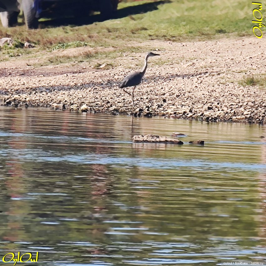 ˂96˃ Энди, Флэшка и БАП — Кукольные фотоистории и сериалы: комиксы