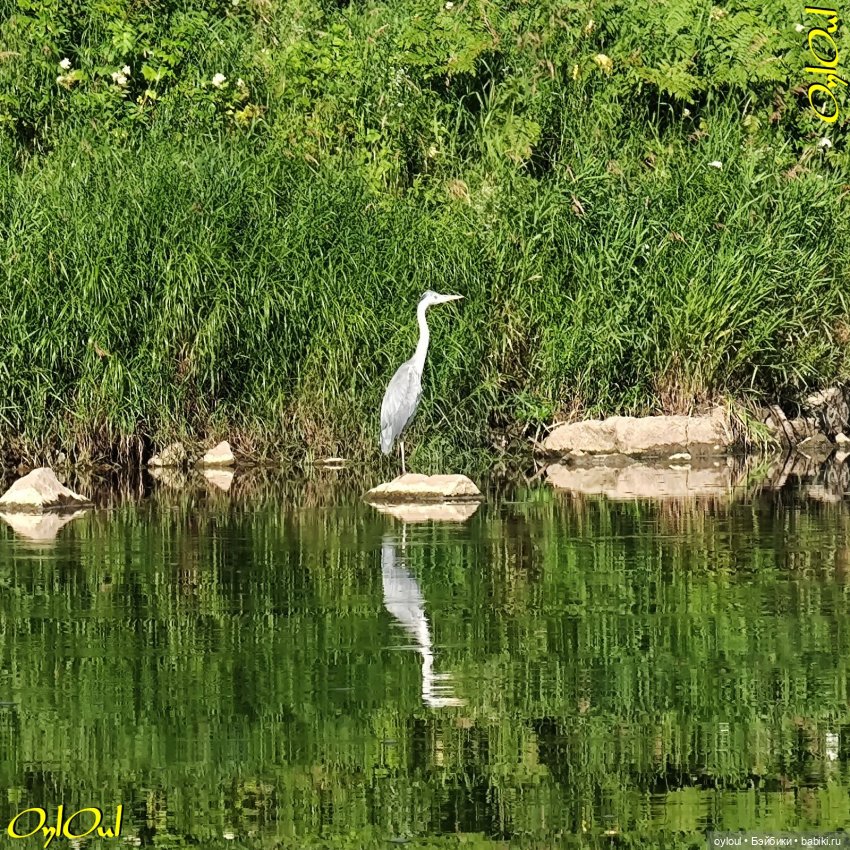 ˂97˃ Утропроходец — Кукольные фотоистории и сериалы: комиксы (фото 5)