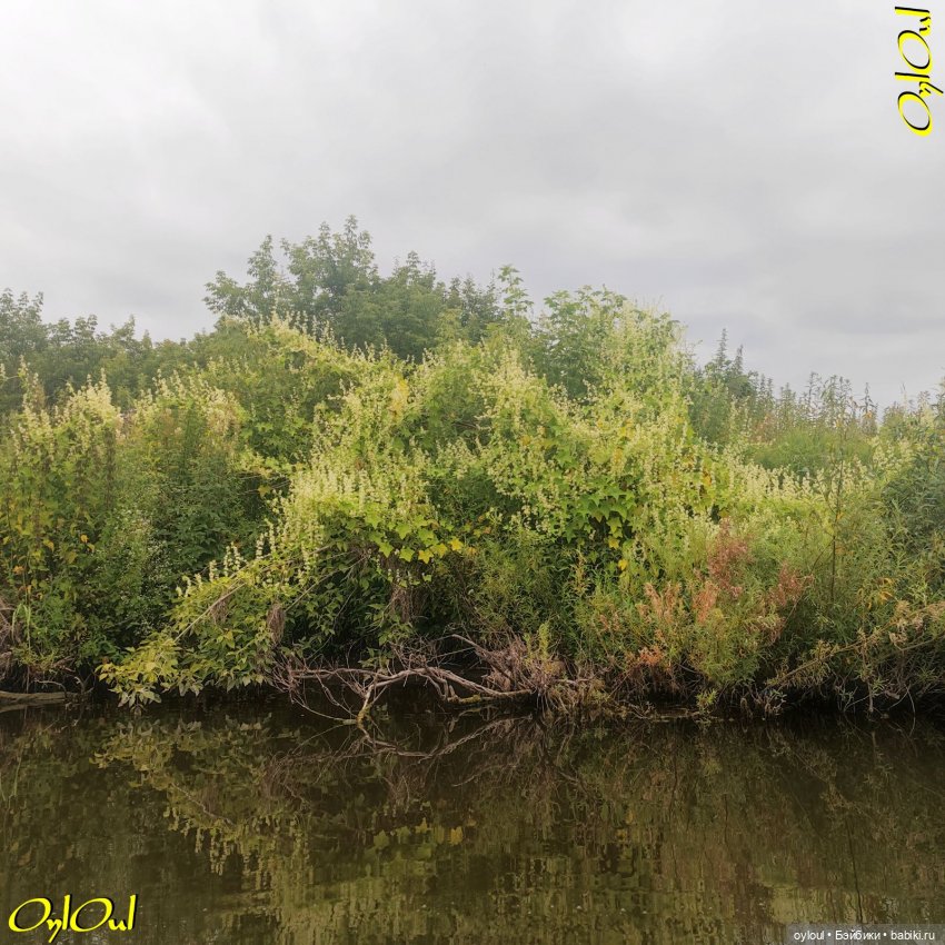 ˂102˃ Высоко и низко — Кукольные фотоистории и сериалы: комиксы (фото 6)