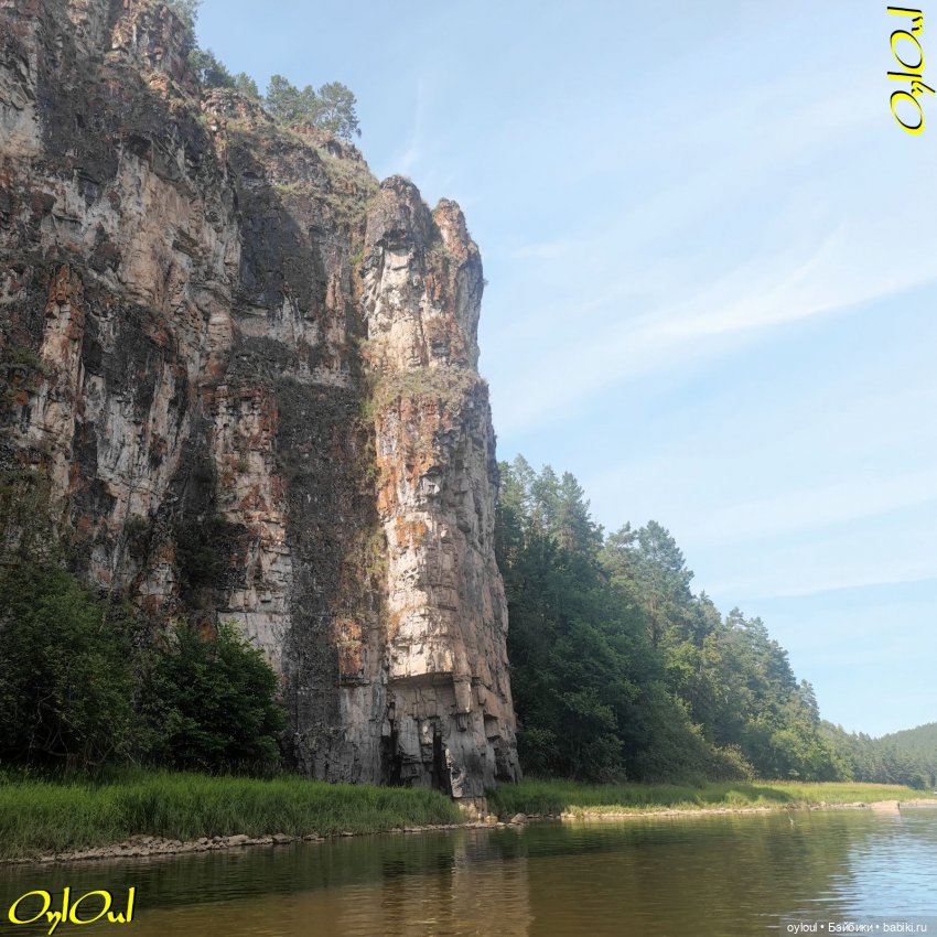 ˂100˃ Беловое в полевых условиях