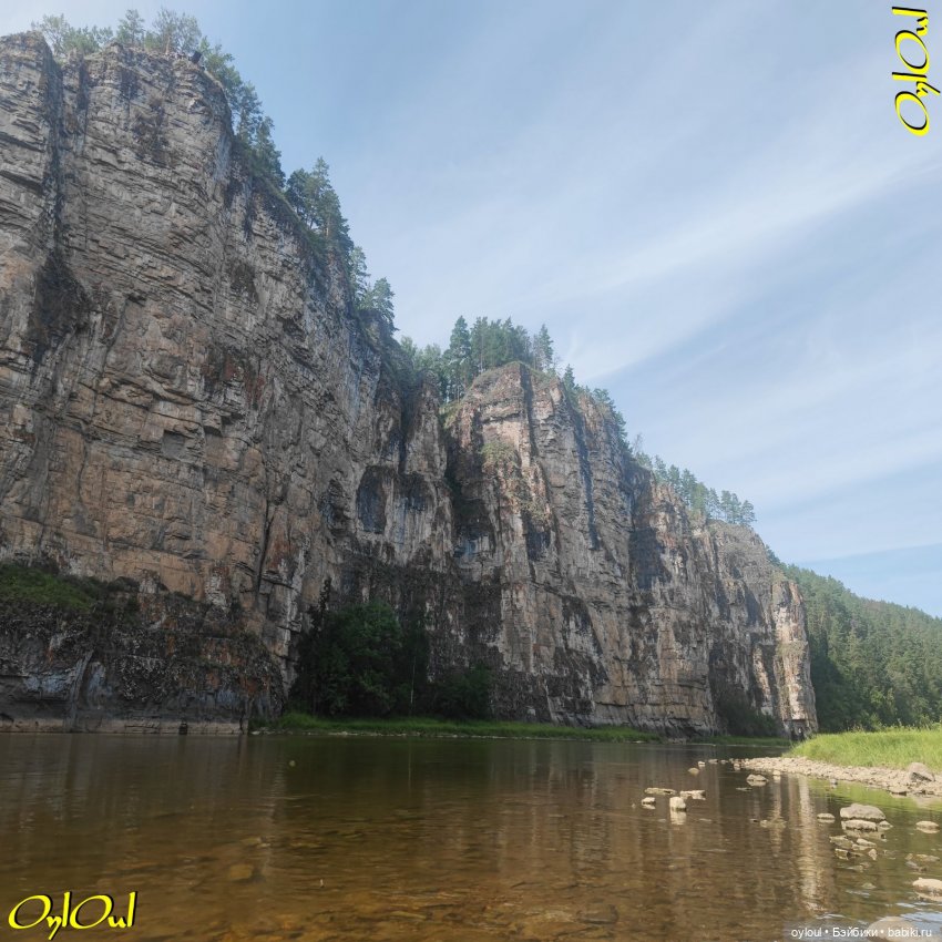 ˂100˃ Беловое в полевых условиях