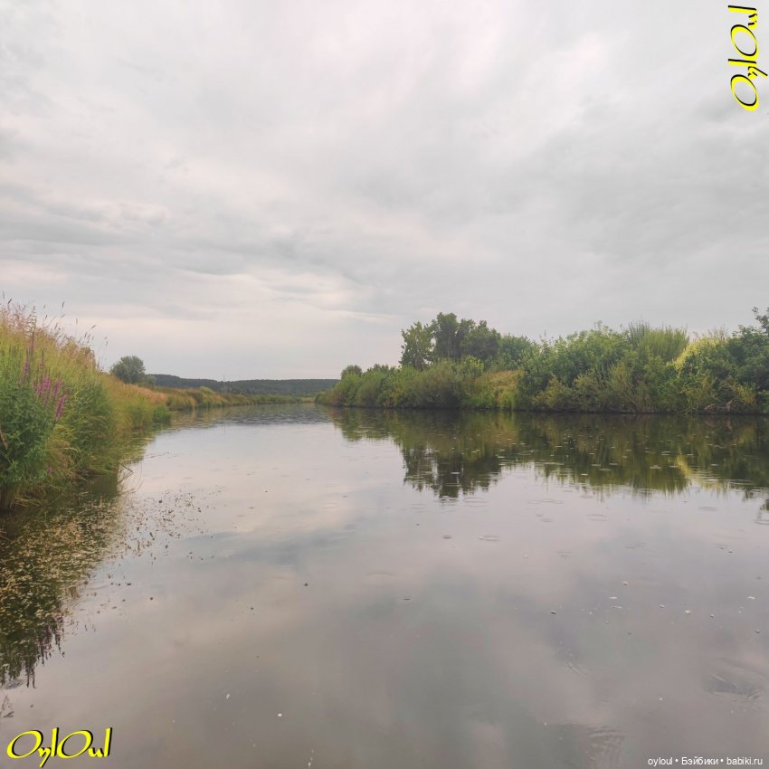 ˂101˃ ЦветоЧЕки и кишоЧЕки (фото 2)