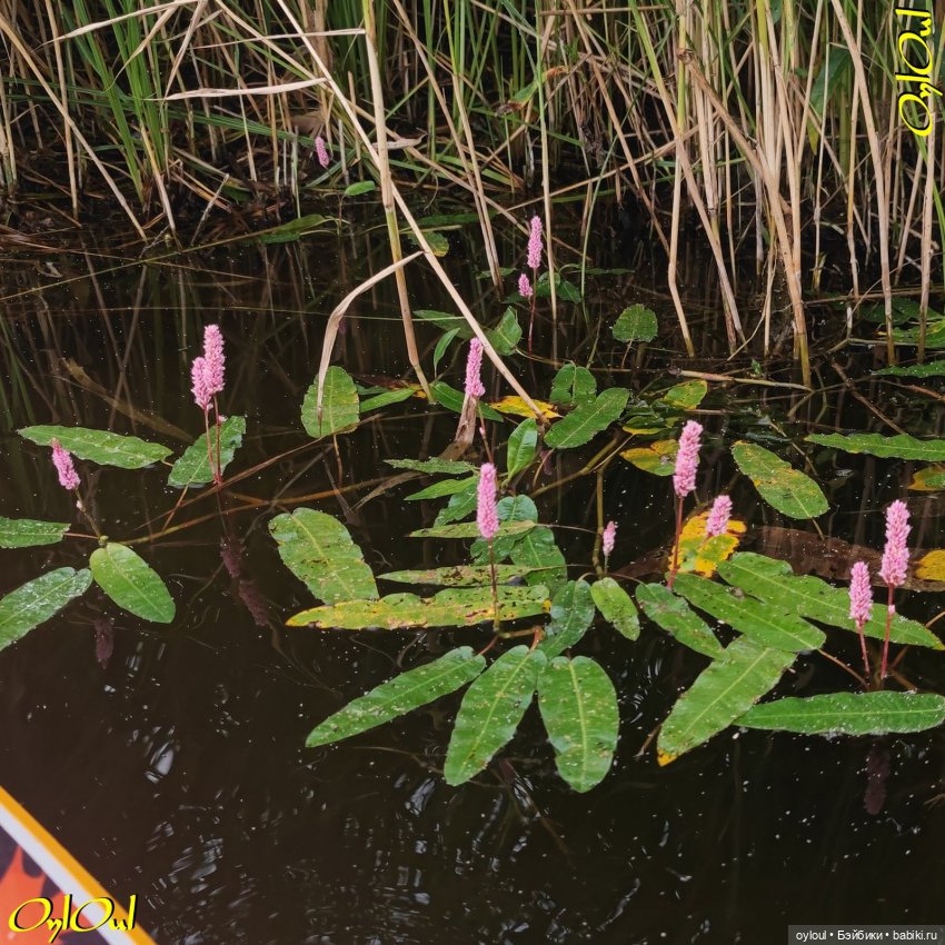 ˂102˃ Высоко и низко — Кукольные фотоистории и сериалы: комиксы