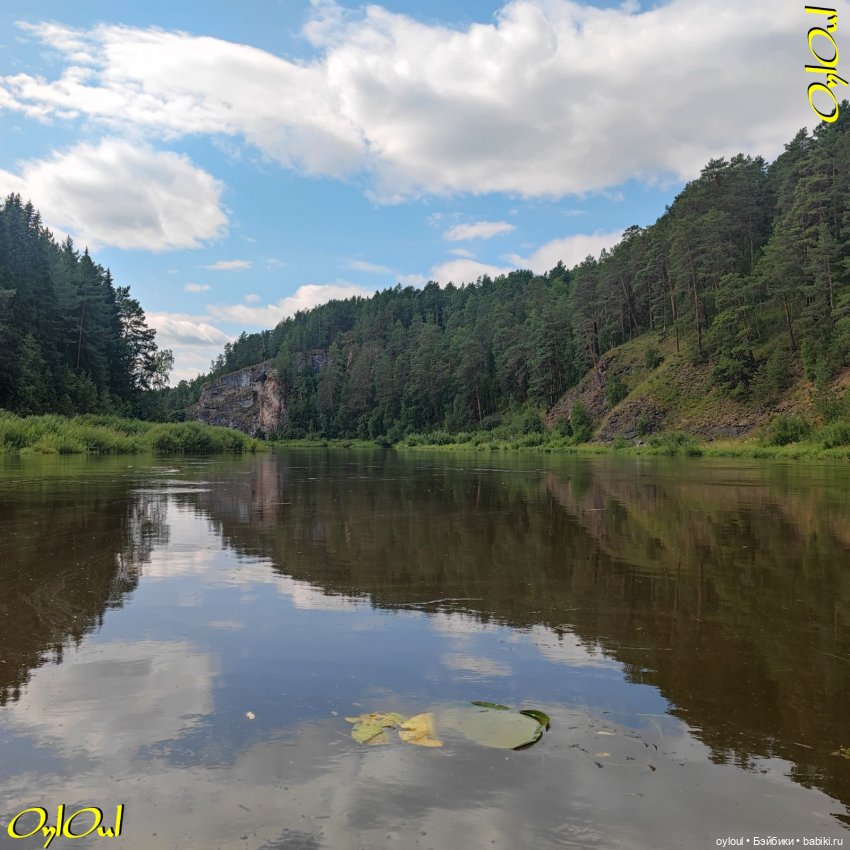 ˂107˃ Лось, Синий и Зайкин (фото 9)