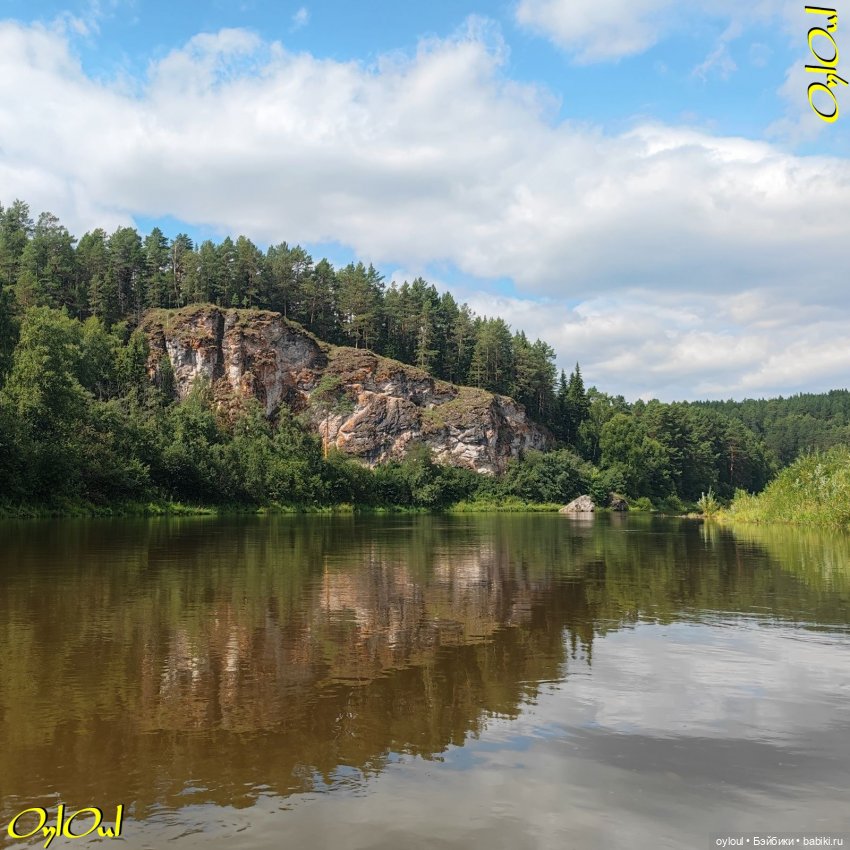 ˂107˃ Лось, Синий и Зайкин (фото 4)