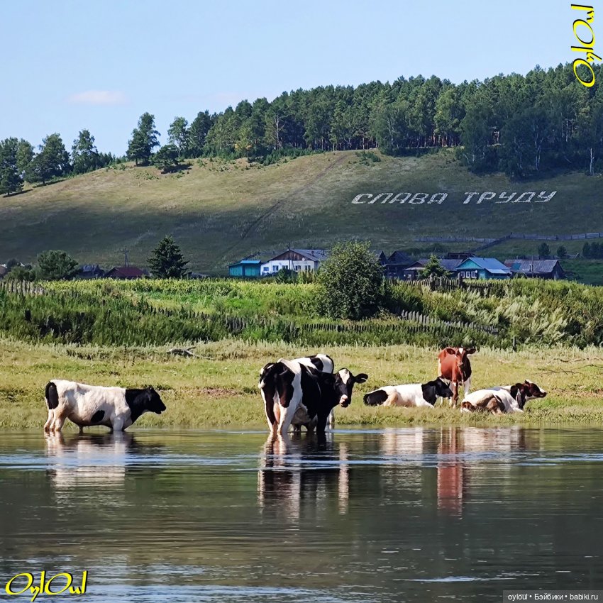 ˂111˃ Слава труду — Кукольные фотоистории и сериалы: комиксы (фото 3)