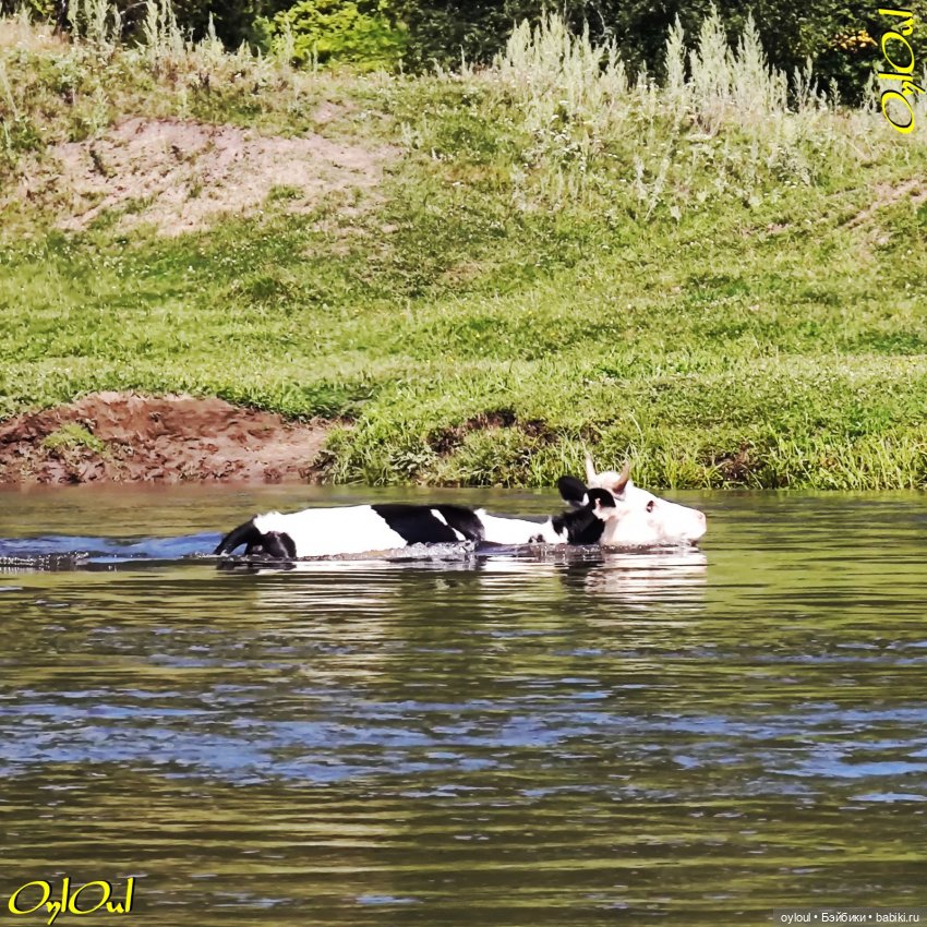 ˂111˃ Слава труду — Кукольные фотоистории и сериалы: комиксы (фото 7)