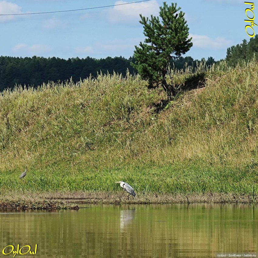 ˂111˃ Слава труду — Кукольные фотоистории и сериалы: комиксы