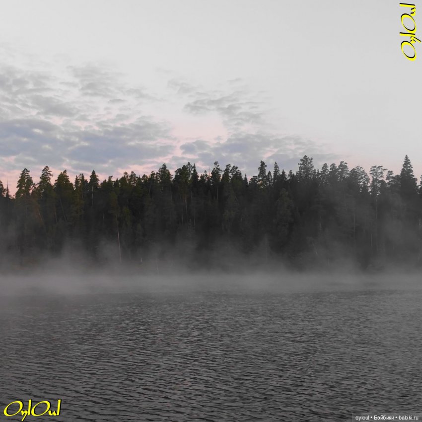 ˂114˃ Розовововое на зелёновом (фото 4)