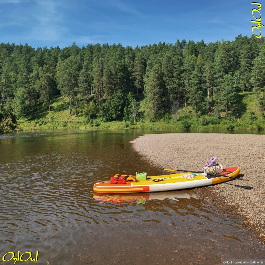 ˂116˃ Скалы, бобёр и косуля