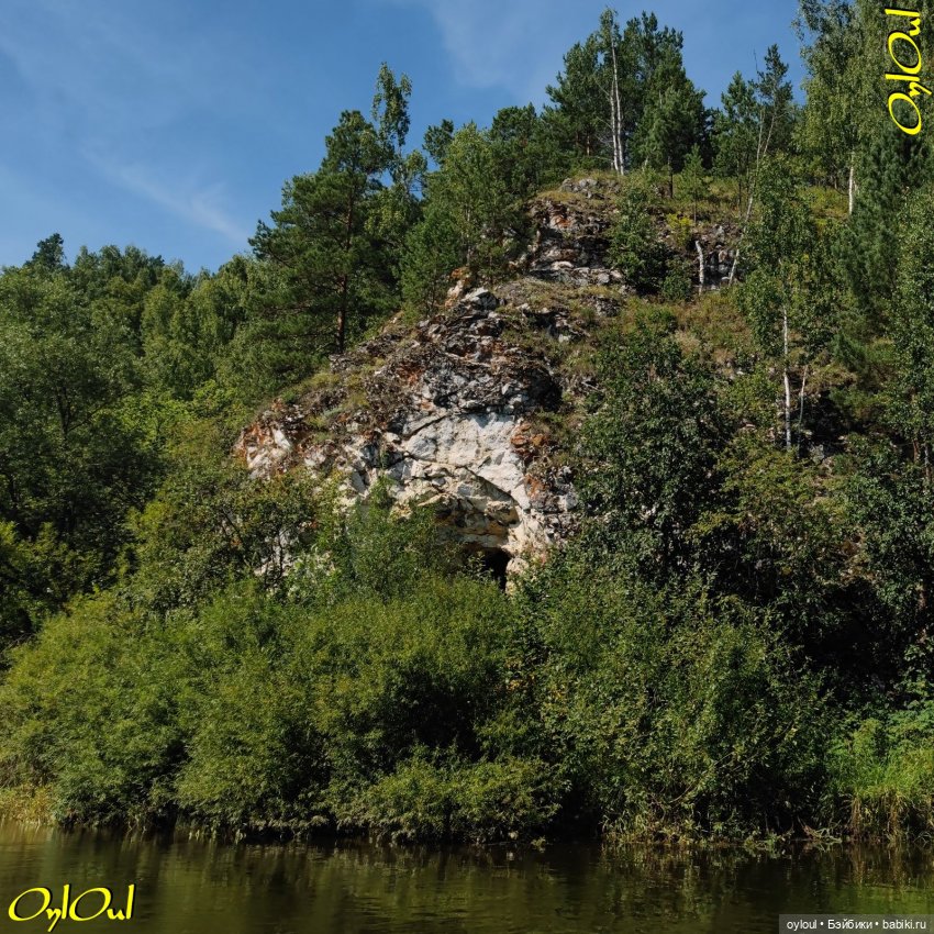 ˂116˃ Скалы, бобёр и косуля (фото 2)