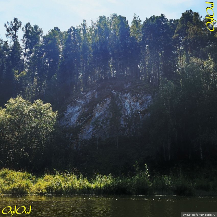 ˂116˃ Скалы, бобёр и косуля (фото 7)