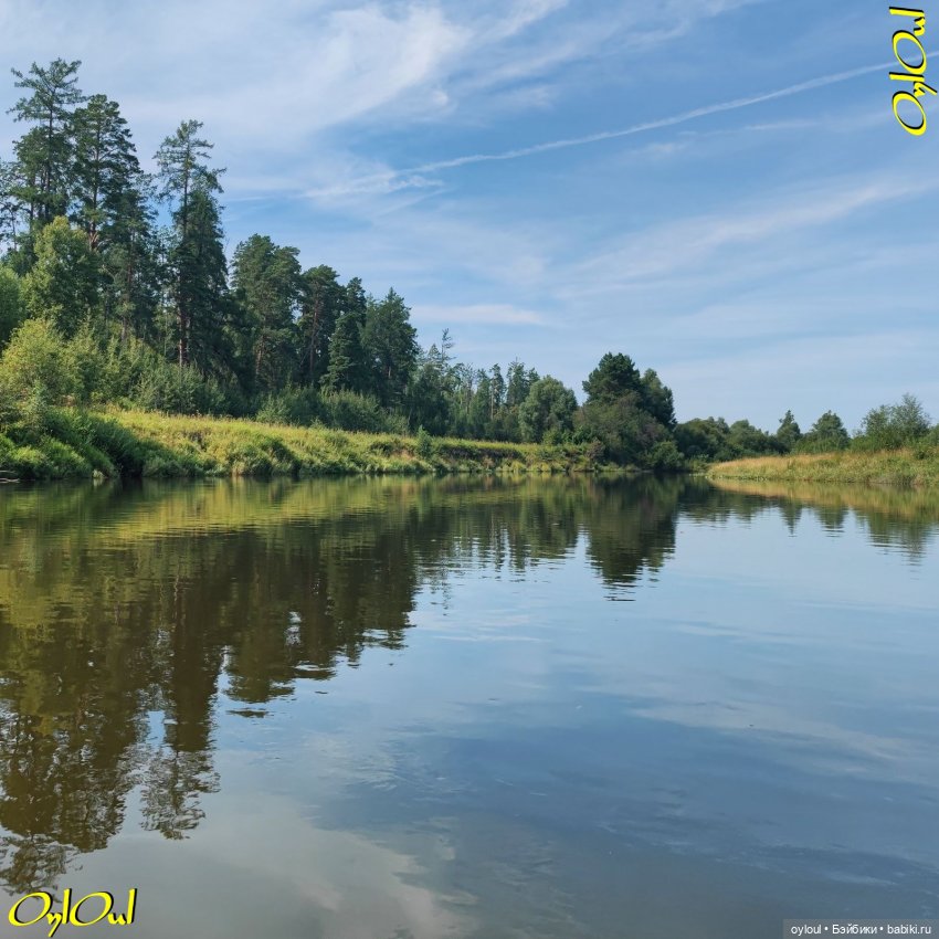 ˂116˃ Скалы, бобёр и косуля