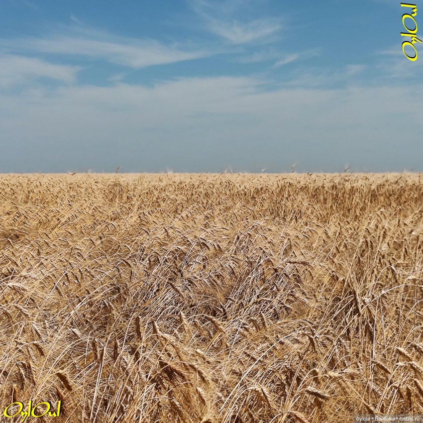 ˂124˃ Это счастье — путь домой