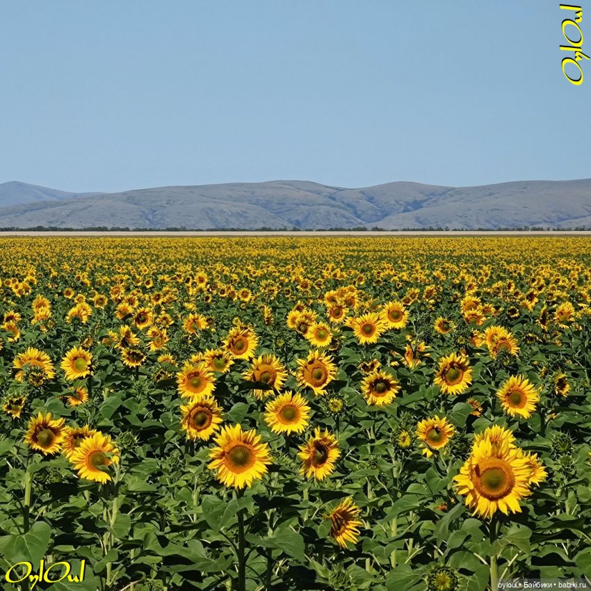 ˂124˃ Это счастье — путь домой