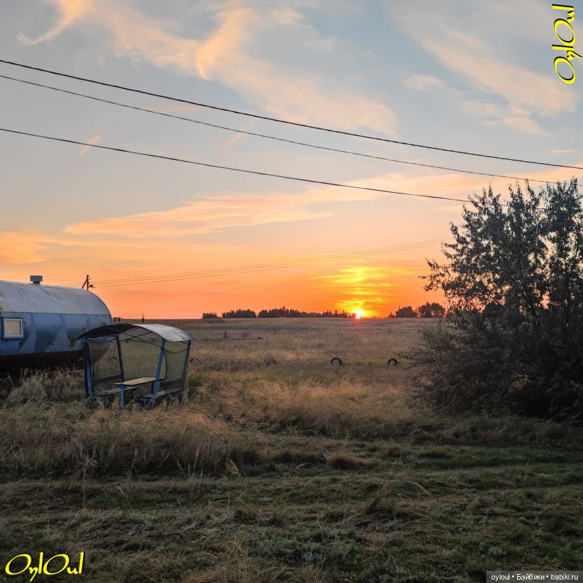 ˂124˃ Это счастье — путь домой (фото 5)
