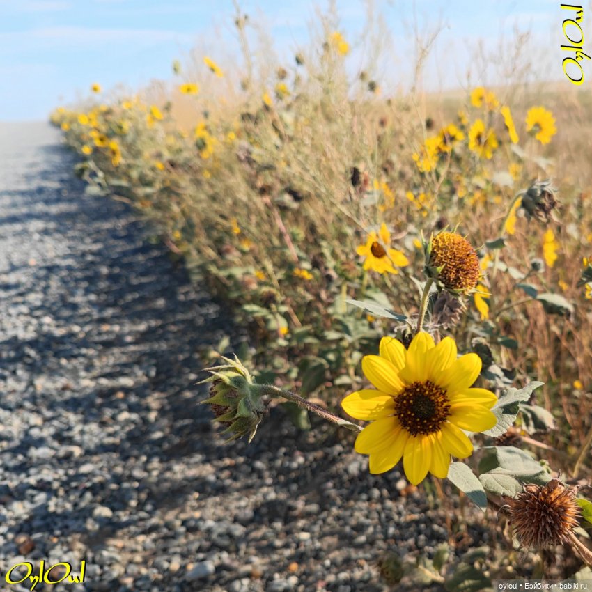 ˂124˃ Это счастье — путь домой