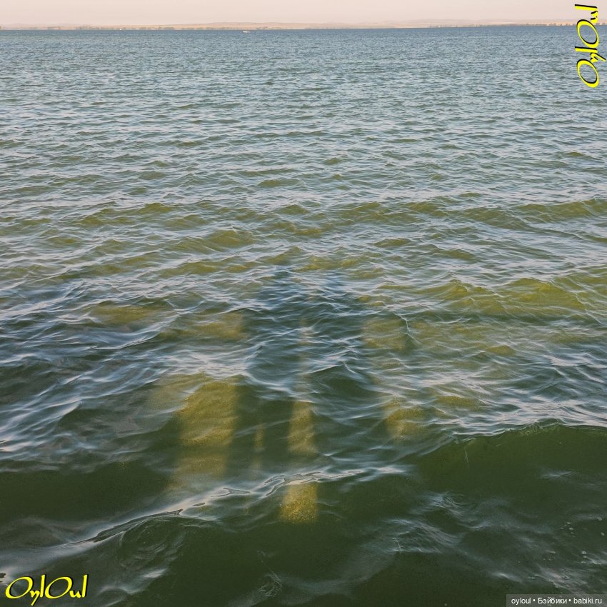 ˂124˃ Это счастье — путь домой (фото 9)