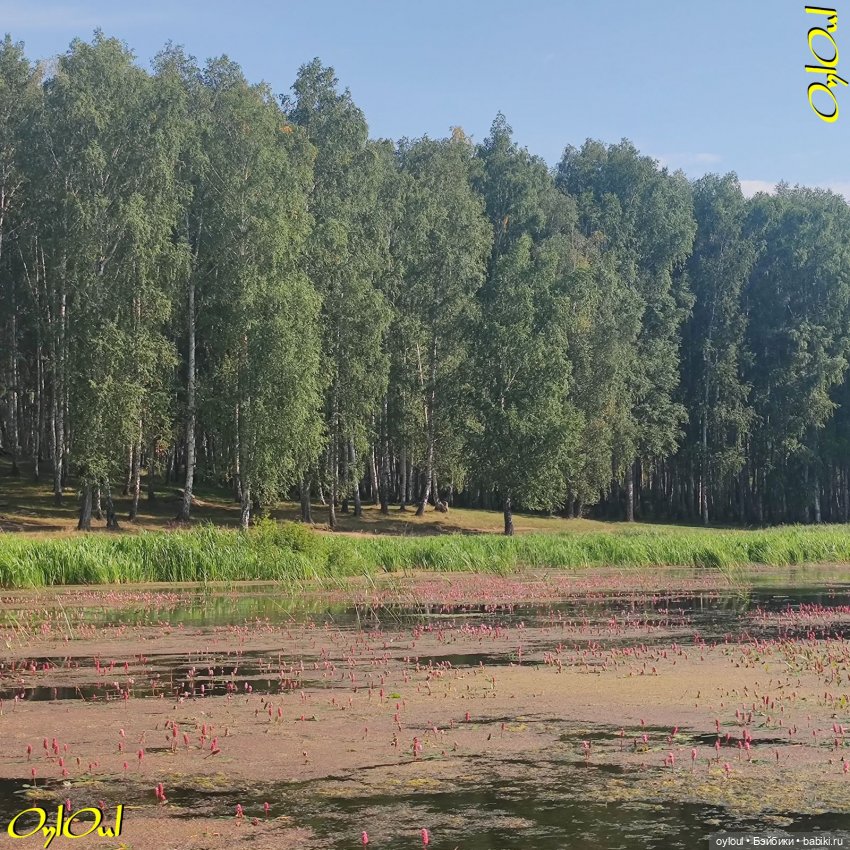 ˂125˃ Утешение грустного бэби