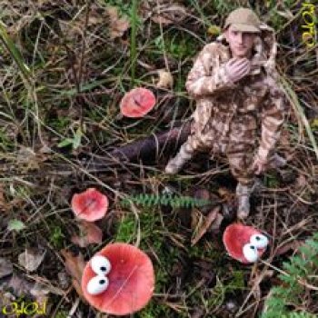 ˂129˃ Их ядят, они глядят