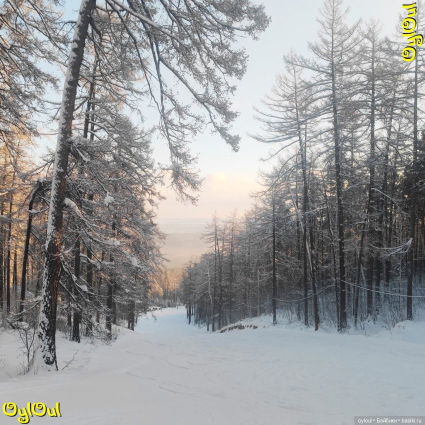 ⌠ 14 ⌡ Кататься — Кукольные фотоистории и сериалы: комиксы (фото 8)