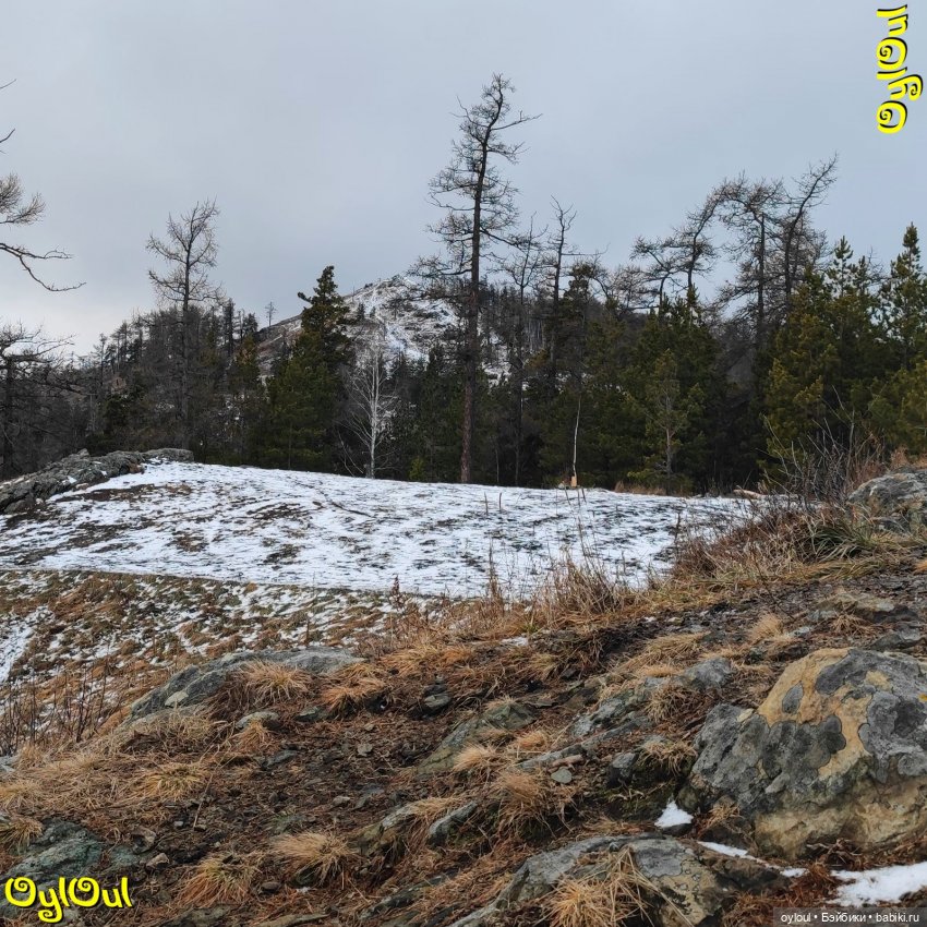 ⌠ 11 ⌡ Малый Сугомак — Кукольные фотоистории и сериалы: комиксы (фото 3)