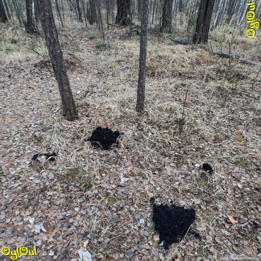 ⌠ 11 ⌡ Малый Сугомак — Кукольные фотоистории и сериалы: комиксы