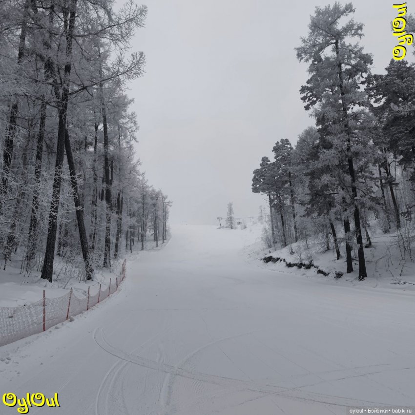 ⌠ 22 ⌡ Трасса «Лесная» | Бэйбики ⌠ 22 ⌡ Трасса «Лесная» — Кукольные фотоистории и сериалы: комиксы (фото 3)
