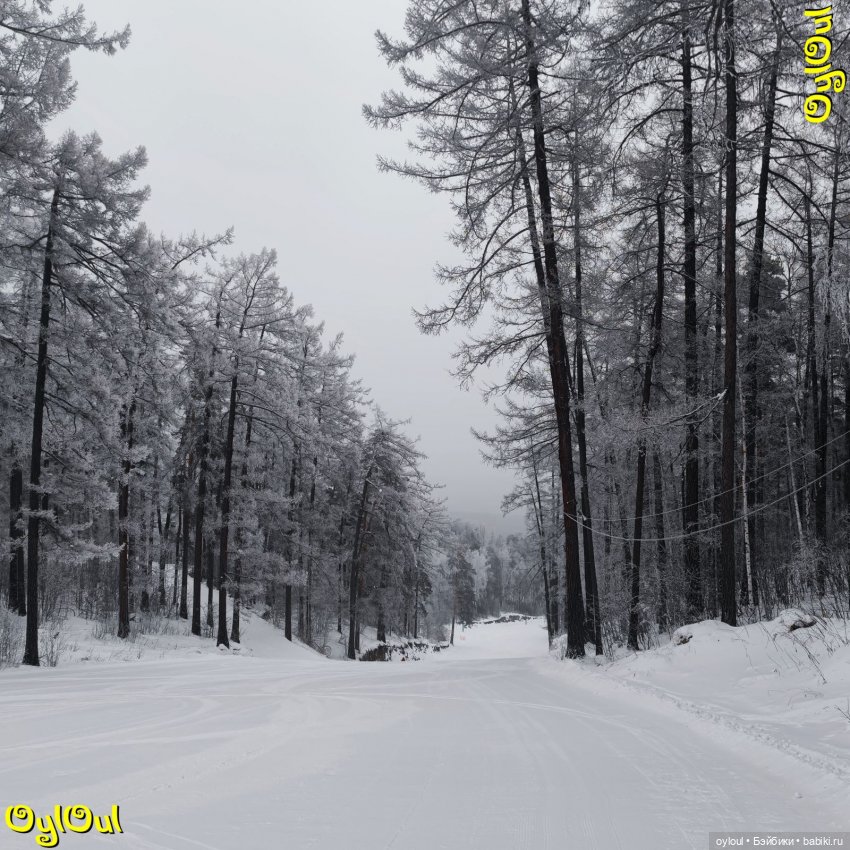 ⌠ 22 ⌡ Трасса «Лесная» | Бэйбики ⌠ 22 ⌡ Трасса «Лесная» — Кукольные фотоистории и сериалы: комиксы (фото 4)